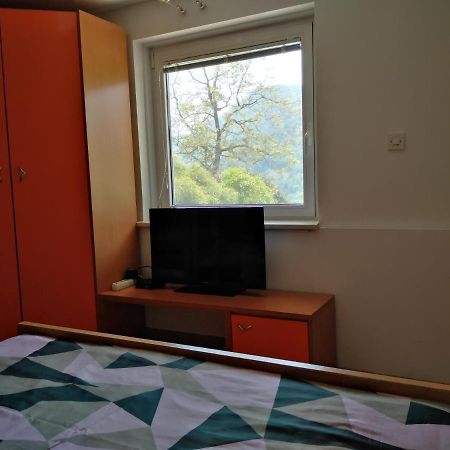 Apartment Zadraga Толмин Екстер'єр фото